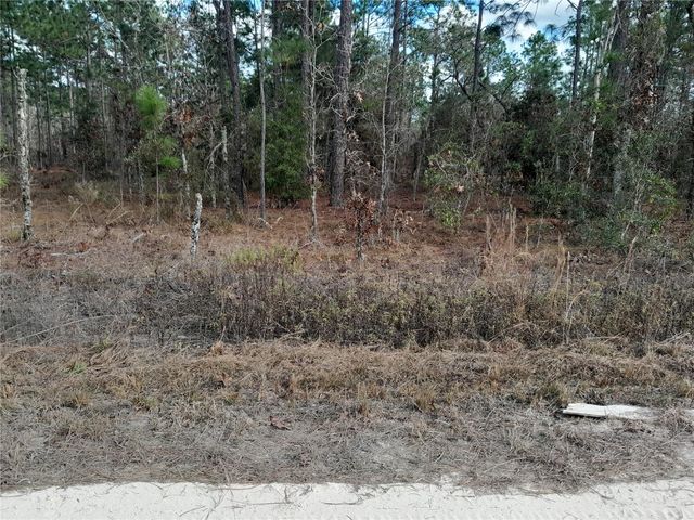 tbd NE 150TH AVENUE, Williston, FL 32696