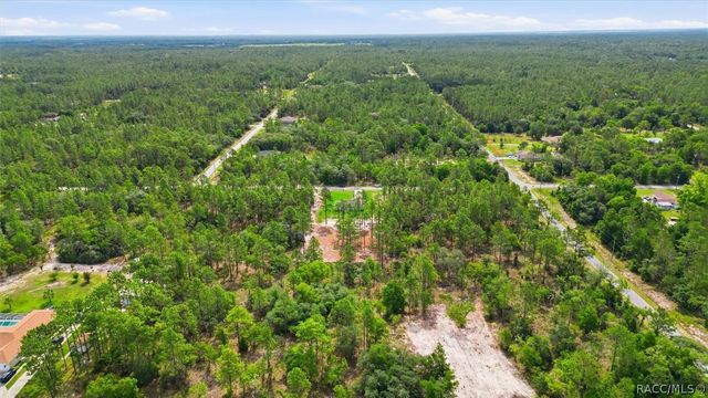 3266 SW Admiral Landing Drive, Dunnellon, FL 34431