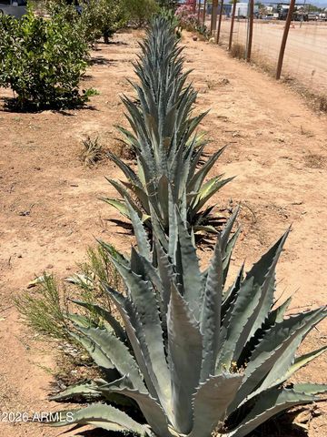 12035 E TENNYSON Road, Florence, AZ 85132