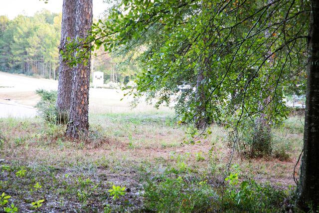 9 ac Lincoln Rd Ext., Hattiesburg, MS 39402