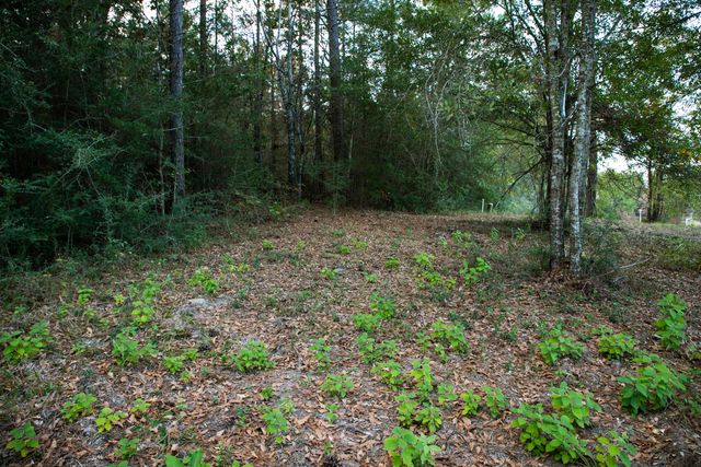 9 ac Lincoln Rd Ext., Hattiesburg, MS 39402