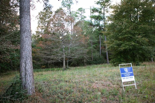 9 ac Lincoln Rd Ext., Hattiesburg, MS 39402