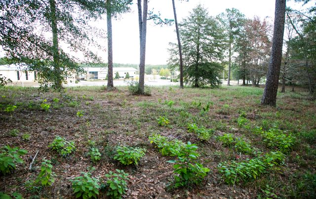 9 ac Lincoln Rd Ext., Hattiesburg, MS 39402