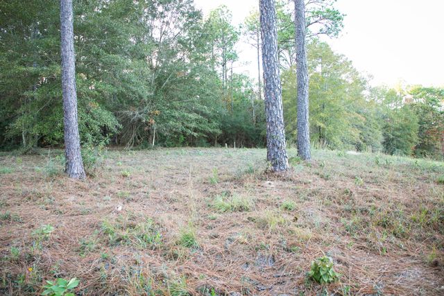 9 ac Lincoln Rd Ext., Hattiesburg, MS 39402