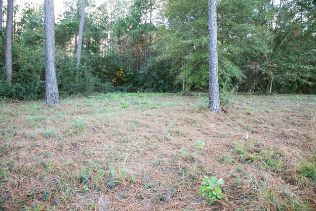 9 ac Lincoln Rd Ext., Hattiesburg, MS 39402