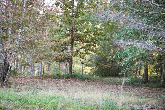 9 ac Lincoln Rd Ext., Hattiesburg, MS 39402