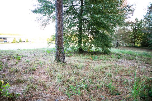 9 ac Lincoln Rd Ext., Hattiesburg, MS 39402