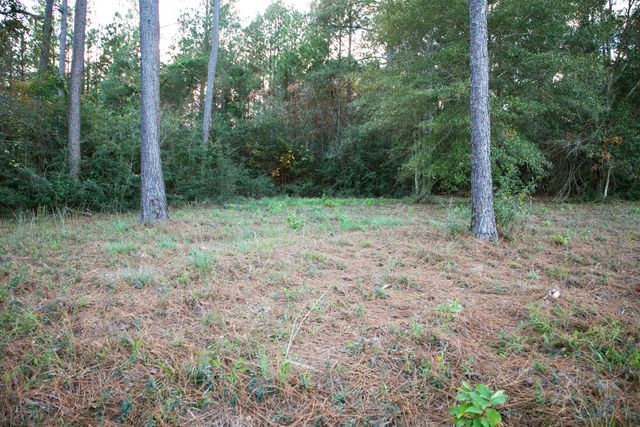 9 ac Lincoln Rd Ext., Hattiesburg, MS 39402