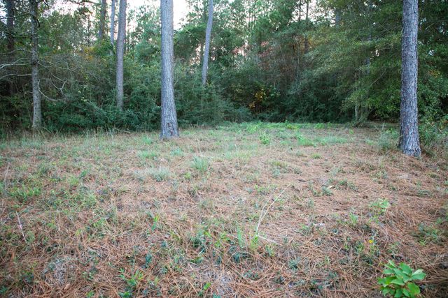 9 ac Lincoln Rd Ext., Hattiesburg, MS 39402