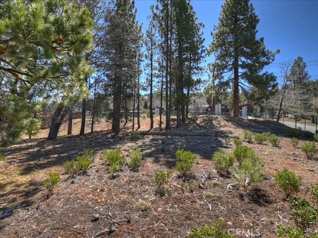 41711 Swizterland, Big Bear Lake, CA 92315