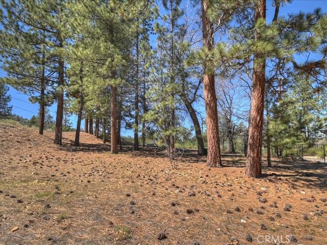 41711 Swizterland, Big Bear Lake, CA 92315