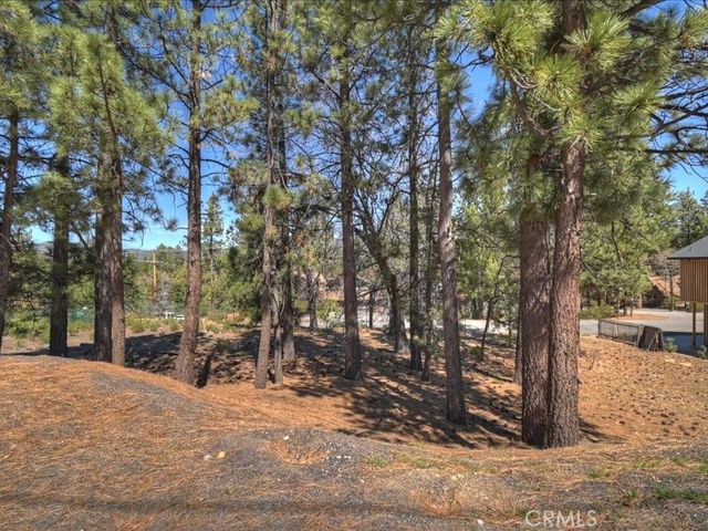 41711 Swizterland, Big Bear Lake, CA 92315