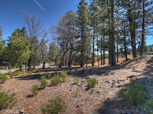 41711 Swizterland, Big Bear Lake, CA 92315