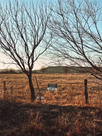 Lot 38 Sportsman Drive, Santo, TX 76067