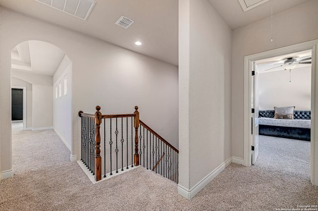 3027 Spider Lily, San Antonio, TX 78258