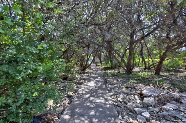 3027 Spider Lily, San Antonio, TX 78258