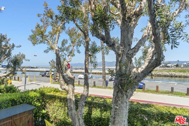 6209 Pacific Avenue 103, Playa Del Rey (los Angeles), CA 90293