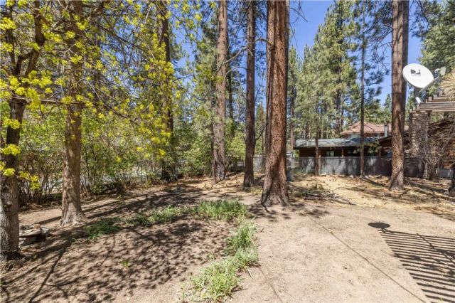 924 Michael, Big Bear City, CA 92314
