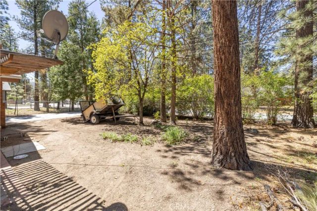 924 Michael, Big Bear City, CA 92314