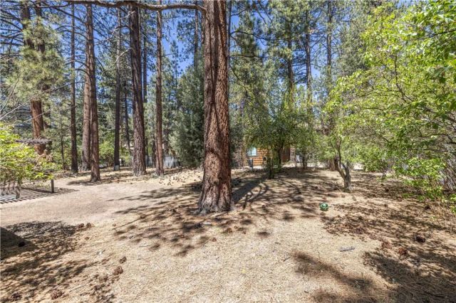 924 Michael, Big Bear City, CA 92314