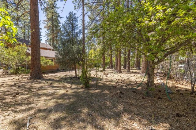 924 Michael, Big Bear City, CA 92314