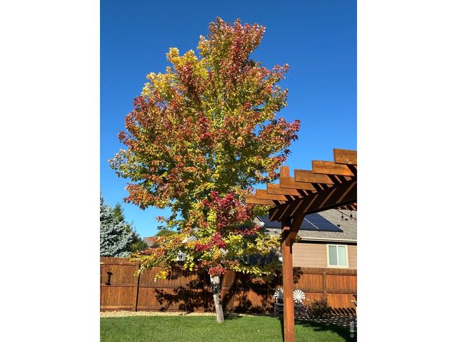 2656 Mustang Dr, Mead, CO 80542