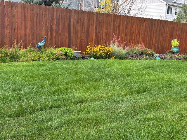 2656 Mustang Dr, Mead, CO 80542