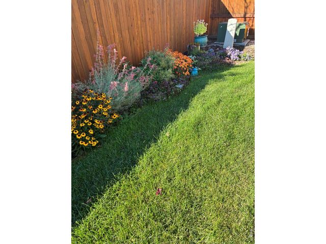 2656 Mustang Dr, Mead, CO 80542