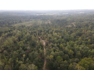 0 Copper Spring Road, Springville, TN 38256