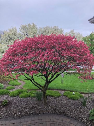 126 Old Well Road, Greece, NY 14626