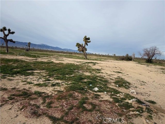 14650 Manada, Phelan, CA 92371