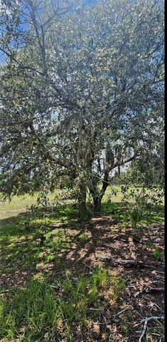 562 LIBBY ROAD, Babson Park, FL 33827