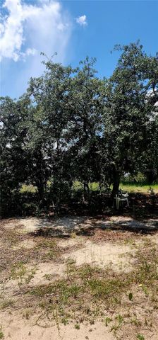 562 LIBBY ROAD, Babson Park, FL 33827