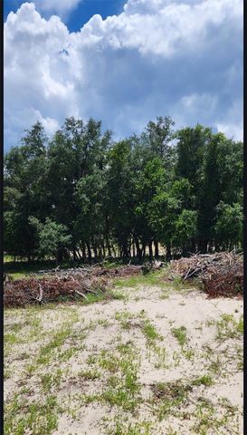 562 LIBBY ROAD, Babson Park, FL 33827