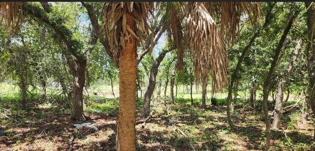 562 LIBBY ROAD, Babson Park, FL 33827