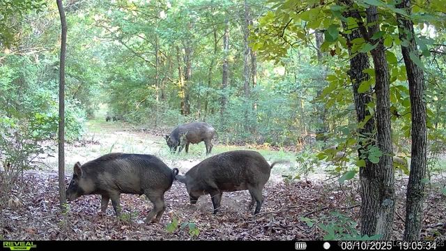 4100 N 430 Road, Locust Grove, OK 74352