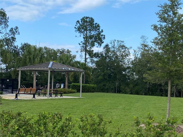 17245 CAGAN CROSSINGS BOULEVARD, Clermont, FL 34714