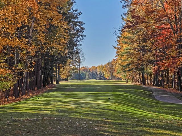 9613 Fawn Ridge Road, Stanwood, MI 49346