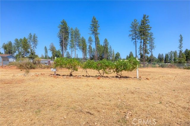 6478 Lone Cedar Lane, Paradise, CA 95969