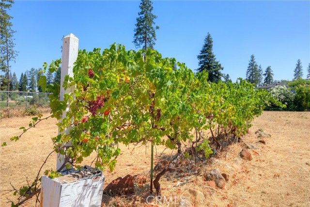 6478 Lone Cedar Lane, Paradise, CA 95969