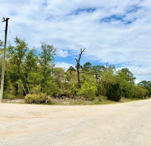 MOUNTAIN MOCKINGBIRD ROAD, Weeki Wachee, FL 34614