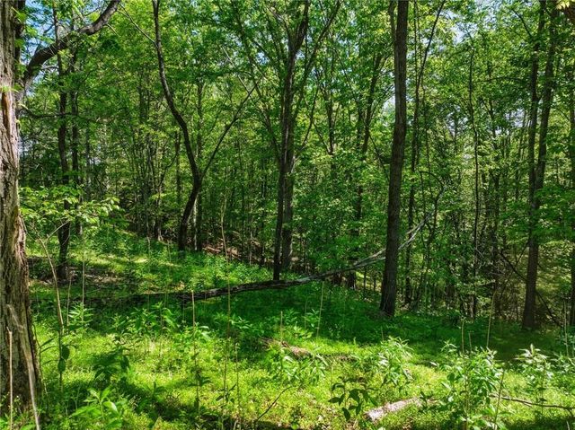 Lot 6 Summit Drive, Dahlonega, GA 30533