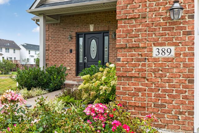 389 Hays Boulevard, Lexington, KY 40509