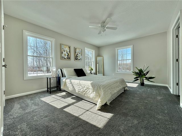 406 S Raccoon Road, Austintown, OH 44515