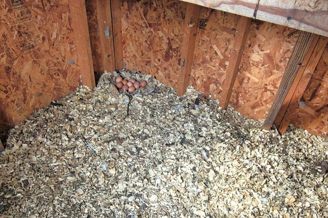 366 County Road 190, Liberty, TX 77575