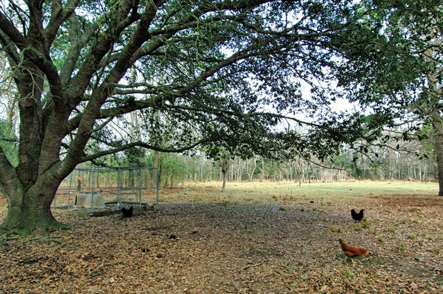 366 County Road 190, Liberty, TX 77575