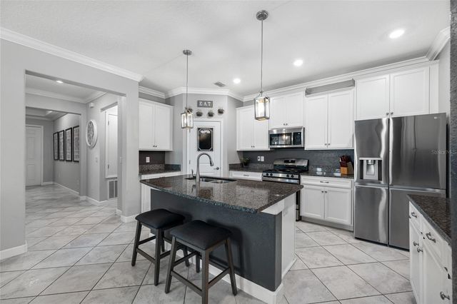 9205 SHADYSIDE LANE, Land O Lakes, FL 34637