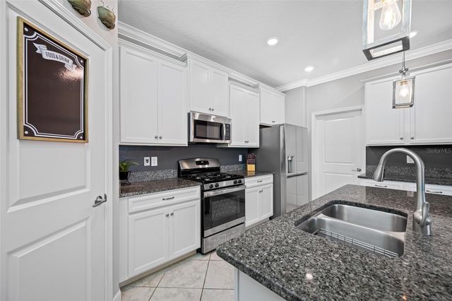 9205 SHADYSIDE LANE, Land O Lakes, FL 34637