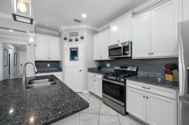 9205 SHADYSIDE LANE, Land O Lakes, FL 34637