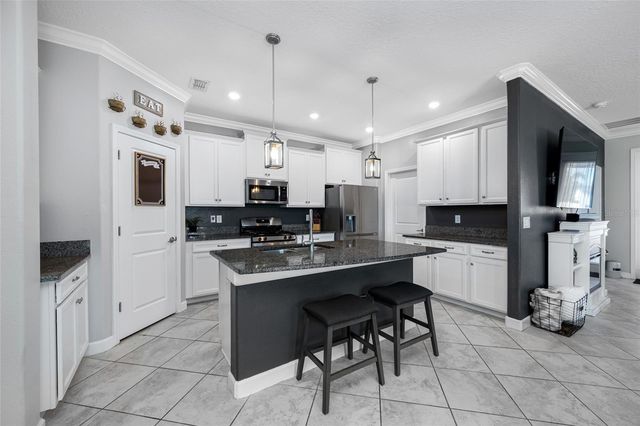 9205 SHADYSIDE LANE, Land O Lakes, FL 34637